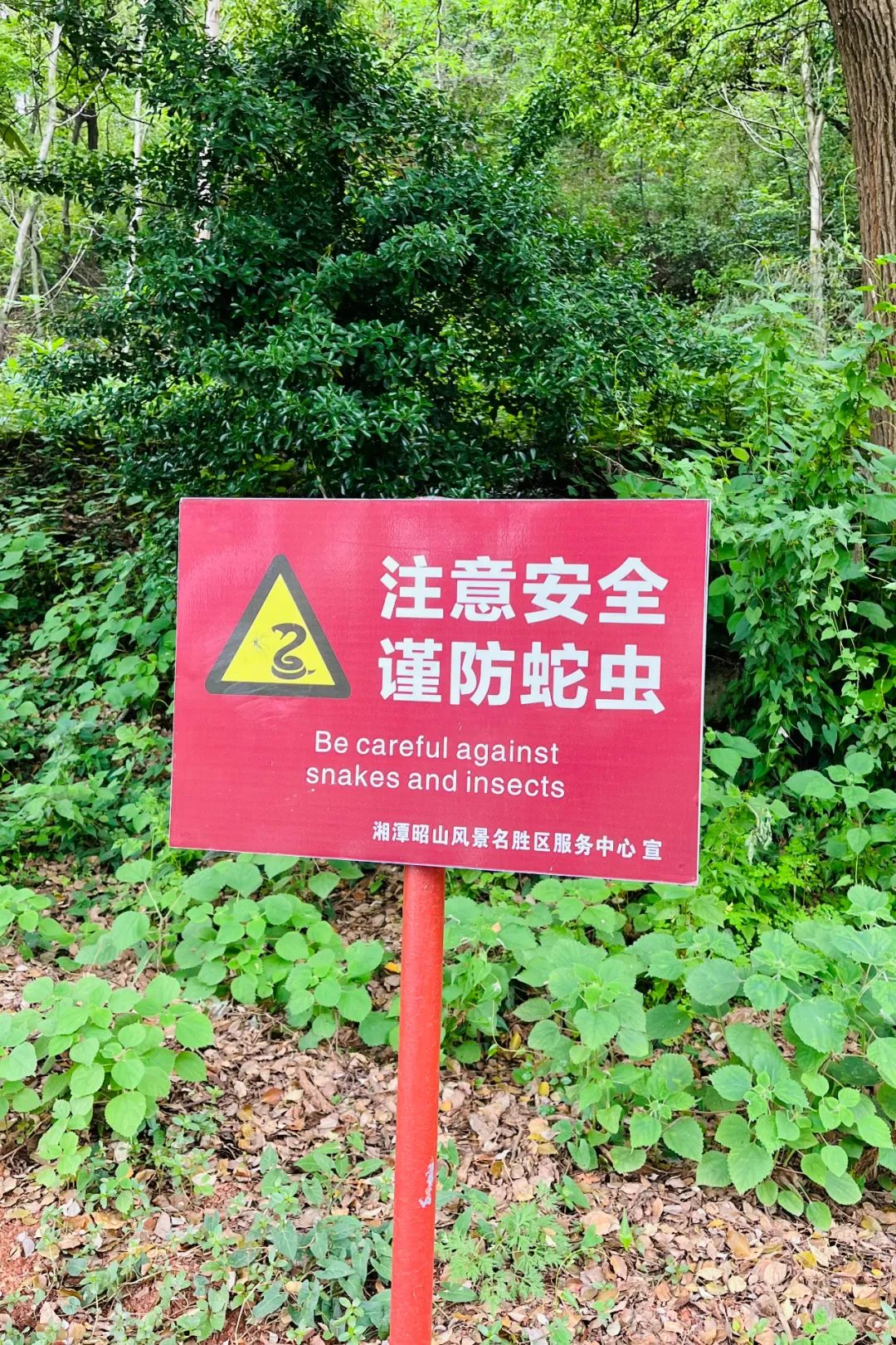 DƬ